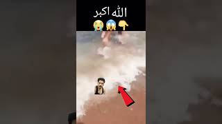 fishing miracleofallah funny miracleofislam fish allahsgrace respect allhah memes allhu [upl. by Laktasic]