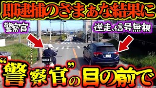 【ドラレコ映像】警察官の目の前で逆走、信号無視…即逮捕の最高にスッキリの瞬間【交通安全推進、危険予知トレーニング】 [upl. by Roede]