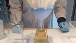 Extraction de lalginate pour fabriquer un bioplastique [upl. by Luana]