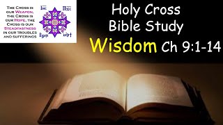 The Wisdom of Solomon Bible Study Ch 9114 11272024 [upl. by Znarf]