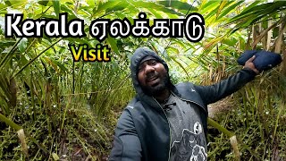 Kerala ஏலக்காடு Vlog ஏலக்காய் விவசாயிகள் Cardamom Farming  Elachi [upl. by Aidnis229]