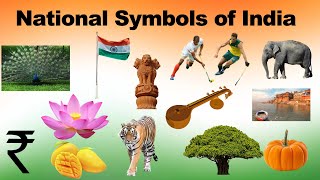 National Symbols of India  National Symbols for kids in English  India National Symbol [upl. by Abdu]