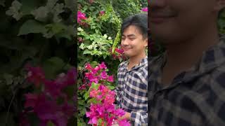 Bougainvillea road in Imphal👀✨ manipurvlog minivlog flowers manipurvlogs [upl. by Acsehcnarf312]