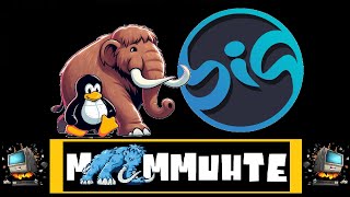 BigLinuxPrimeiro ContatoConfigurações e Lojas de Aplicativos [upl. by Glassman685]