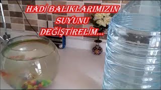 BALIKLARIN SUYU NASIL DEĞİŞTİRİLİR TÜM AYRINTILARI İLE İZLE [upl. by Mcneil345]