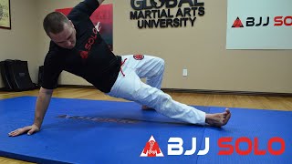 BJJ Solo  Total Body Workout w Brazilian Jiu Jitsu Movements Beginner [upl. by Ardnohsal]