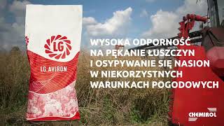 LG Aviron – wybierz odmianę rzepaku stabilnie plonującą [upl. by Olihs]