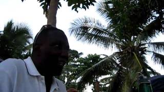 Jacmel Haiti  Dinner at Peace of Mind hotel [upl. by Zat]