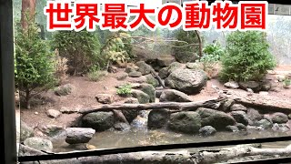 アメリカにある世界最大の動物園、ブロンクス動物園の展示が凄過ぎた・・・！ [upl. by Syned]