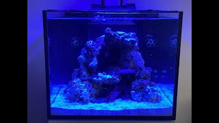 Red Sea Reefer 170 Aquarium Setup Reef Tank [upl. by Kire]