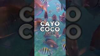 Snorkeling Cayo Coco Cuba [upl. by Charmian]