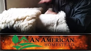 Animal Pelts and Tanning  An American Homestead [upl. by Aleemaj]