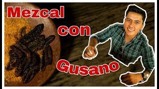 Mezcal con Gusano ¿Por qué el mezcal tiene gusano 😱🐛 [upl. by Barny]