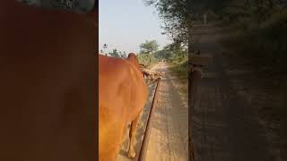 Part 1 going to khettravel viralvideo shorts shortsfeed zamidar Rahulnagal01 [upl. by Zohara77]