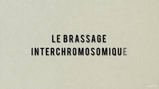 BRASSAGE INTERCHROMOSOMIQUE Gagne des points pour ton bac de SVT avec ce schéma guidé et réalisable [upl. by Sedinoel]