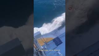 The Moment a Lifeboat falls from Royal Caribbean Quantum Cruise Ship by SalvageandWreck [upl. by Rausch]