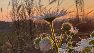 Holledau Herbst Entschleunigen [upl. by Durnan]