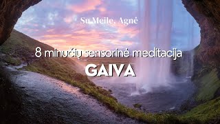 8 minučių sensorinė meditacija  Gaiva [upl. by Drandell]