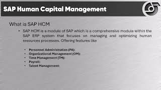 SAP Intro HCM Implementation Final [upl. by Felske138]