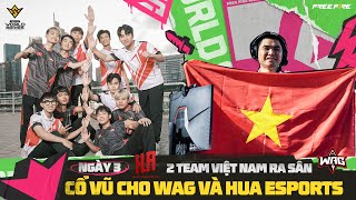 WAG CÂN 3 TEAM THAILAN  2 TOP 1 TẠI VÒNG BẢNG CHUNG KẾT FREE FIRE THẾ GIỚI BRAZILL 2024 [upl. by Roda895]