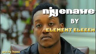 Element EleeehNJYENAWEofficial video 2024 New song [upl. by Eram404]