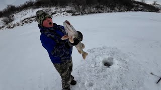 Copes Pb Northern Pike Tip Up Ice Fishing [upl. by Nilyac700]