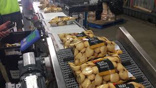 Food Automation presents InnoTech REVO S VFFS packing 12 kg potatoes high speed [upl. by Eidak739]