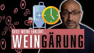 Der Prozess der alkoholischen Gärung beim Wein einfach erklärt  GWerklärt [upl. by Byler]