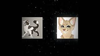 《☆Swiftpaw×Brightheart☆》 [upl. by Keifer146]