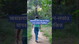 অবহেলায় জন্ম নেয়া তৃণলতাও মানুষের কল্যাণ্যে নিয়োজিত। [upl. by Kamp]