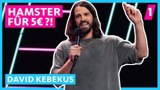 David Kebekus Haustiere canceln  1LIVE Köln ComedyNacht XXL 2023 [upl. by Desdee]