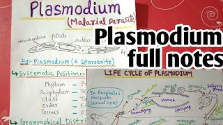 plasmodium vivax life cycle full notes  1 [upl. by Ammamaria752]