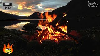 Lakeside Campfire with Relaxing Nature Night Sounds HD [upl. by Aimik401]