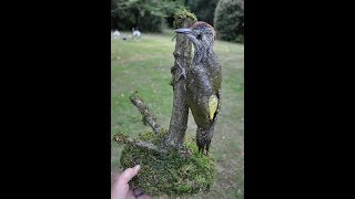 Green woodpecker  Taxidermy the simple way [upl. by Farrell]