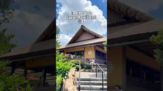 Reviewing Katsura Grill in EPCOT 🇯🇵 [upl. by Evalyn]