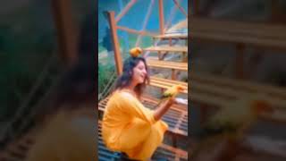 Yaanjii💞 love song parrotlover yercaud viralvideo tamil [upl. by Vedis]