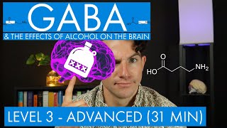 GABA  The Inhibitory Neurotransmitter  Alcohol in the Brain Level 3  Advanced [upl. by Nobell]