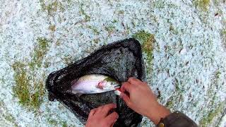 Trout fishing in December Halton Hills Ontario [upl. by Nelrac]