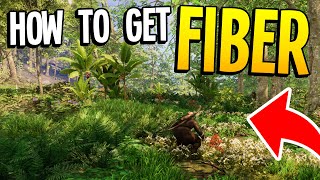 How to get Fiber in New World [upl. by Toombs622]