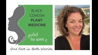 Black Cohosh  Plant Medicine guided by Spirit  with Tania Leanne [upl. by Nonnahsal]