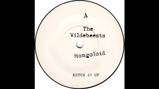 The Wildebeests  Mongoloid Devo Cover [upl. by Nerrak606]