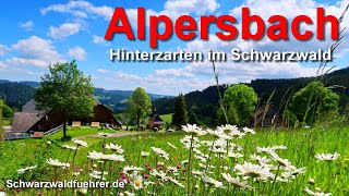 Alpersbach bei Hinterzarten im Schwarzwald [upl. by Yelhs790]