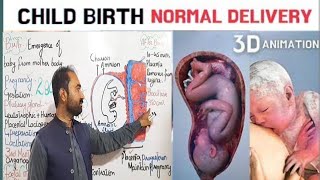 Birth  Birth in human female  Child birth  Normal delivery [upl. by Jackqueline613]