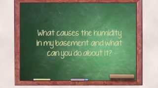 How to Control Humidity in the Basement  TC Hafford Basement Systems [upl. by Ainolloppa367]