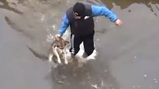 Drowning puppy shows pure joy after rescue [upl. by Ynahteb700]