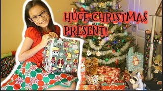 Opening Presents Christmas Morning 2016 [upl. by Lyndell]