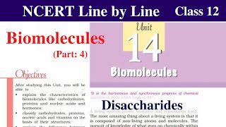 Disaccharides  Biomolecules Class 12 Chemistry  disaccharides sucrose lactose maltose ncert chem [upl. by Leamse]