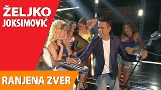 Željko Joksimović  Ranjena zver Official Music Video 2015 [upl. by Yzmar]