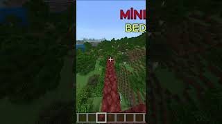 Minecraft Bedrock Version VS Minecraft Java Version minecrafttürkiye [upl. by Fisuoy]