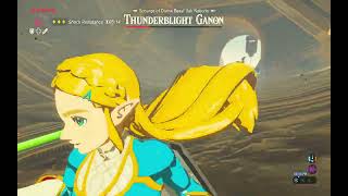 Thunderblight Ganon fight  Zeldas Ballad [upl. by Zwick]